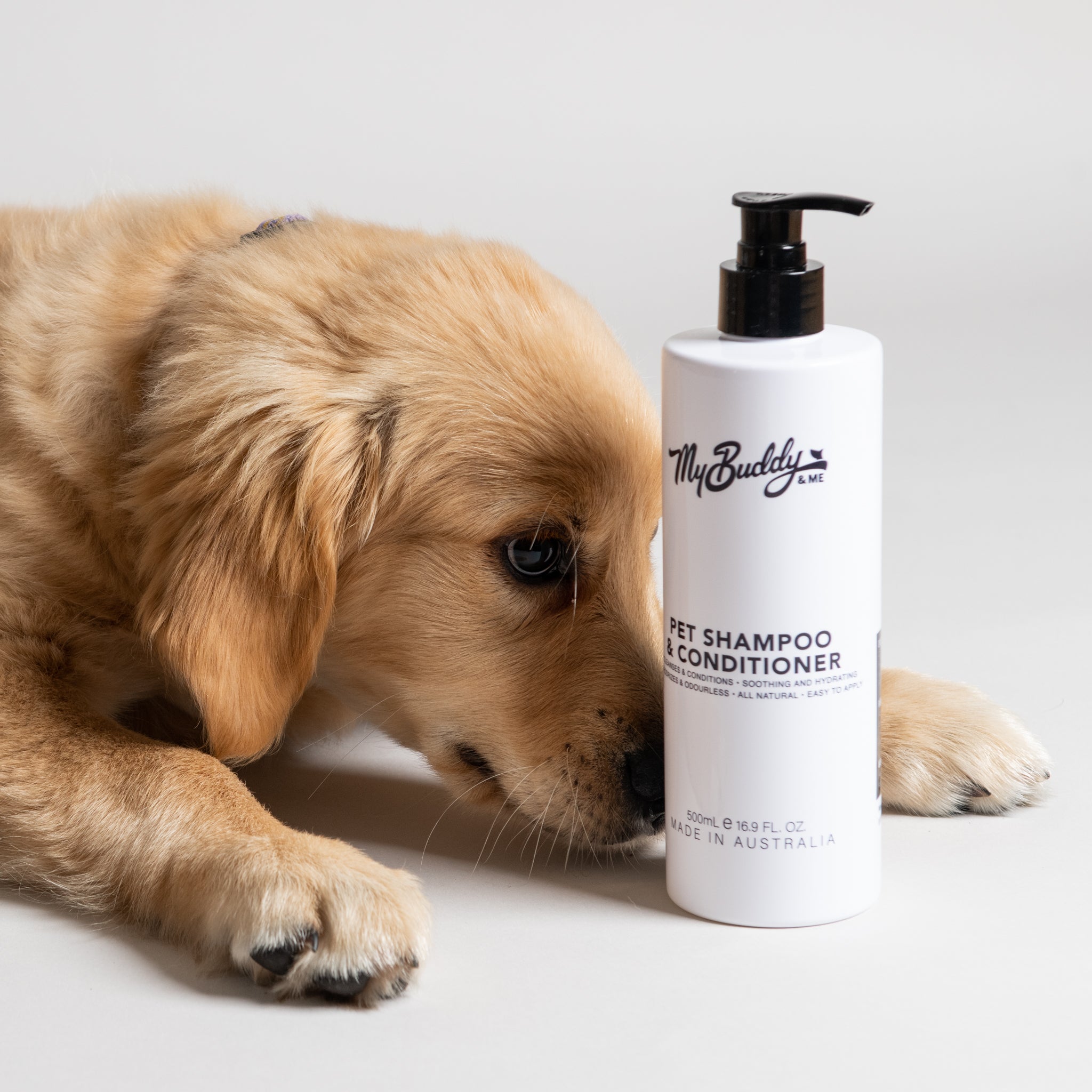 Buddy dog shampoo best sale