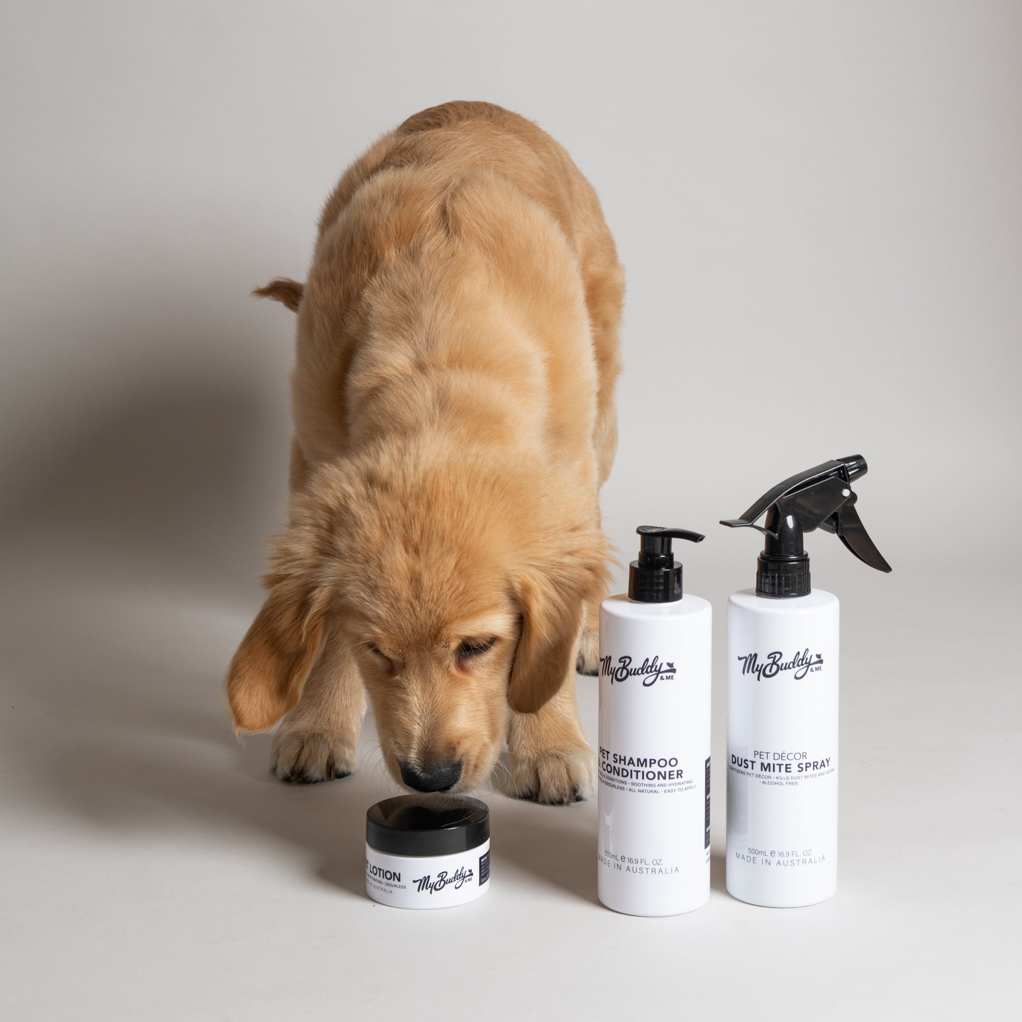 Dust mite outlet shampoo for dogs